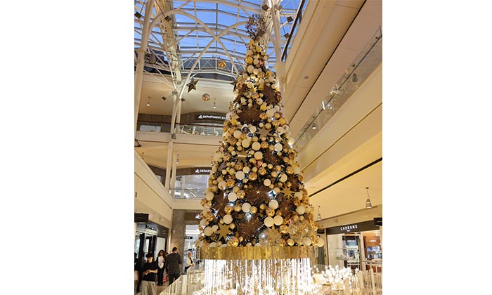 ABC Lights Up the Season with Festive Christmas Celebration. ABC Lights Up the Season with Festive Christmas Celebration. - lights season