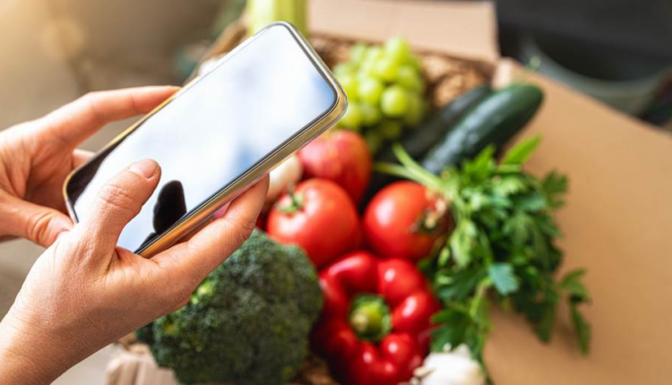 EBRD backs Egyptian e-grocer Breadfast EBRD backs Egyptian e-grocer Breadfast - ebrd backs