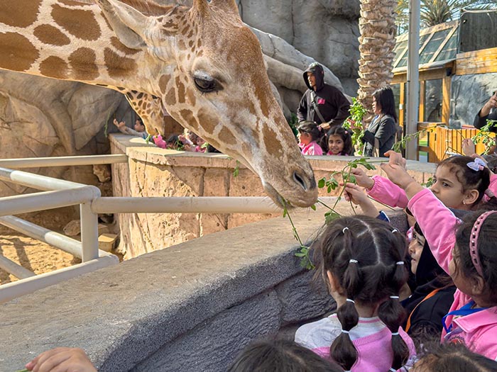 Emirates Park Zoo & Resort strengthens its educational programmes to bring learning beyond the classroom Emirates Park Zoo & Resort strengthens its educational programmes to bring learning beyond the classroom - emirates park